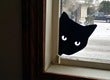 Peeking Cat Silhouette